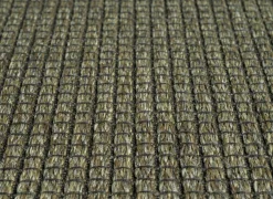 Ragolle Buitentapijt Brandon 80x150cm - polypropyleen - donkergroen