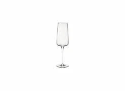 Champagneglas Planeo 24cl - glas - transparant set van 4