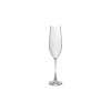 Salt & Pepper Champagneglas Saga 29cl - glas - transparant set van 4