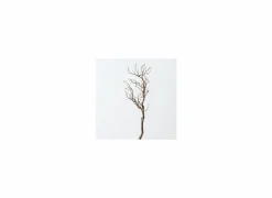 Decoratietak Drift Wood H93cm