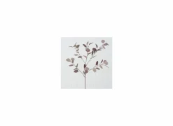 Decoratietak Eucalyptus H91cm