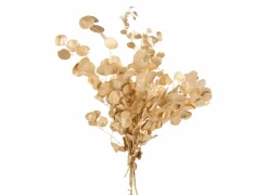 Decoratietak Eucalyptus H60cm