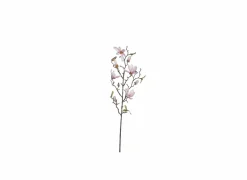 Decoratietak Magnolia H75cm