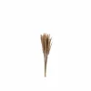 J line Decoratietak Pennisetum 85cm