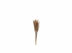 J line Decoratietak Pennisetum 85cm