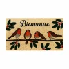Deurmat Roodborstjes 70x40cm - kokos & PVC - multicolor