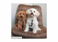 Draaifauteuil Nanook 71x71x94cm - stof - bruin