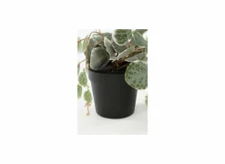 Mica Hangende kunstplant Ceropegia woodii H46cm polyester groen