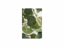 Mica Hangende kunstplant Ceropegia woodii H46cm polyester groen