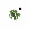 Mica Hangende kunstplant Monstera H40cm kunststof groen