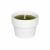 Kaars in witte terracotta pot H10cm fresh lime