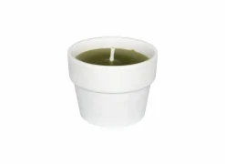 Kaars in witte terracotta pot H10cm fresh lime