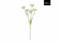 Edelman Kunstbloem Daucus Carota H81cm