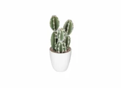 Kunstplant Cactus H18cm
