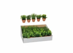 Mica Kunstplant Kruiden in pot H18cm