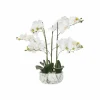 Kunstplant Orchidee H65cm