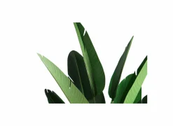 Kunstplant Paradise H210cm