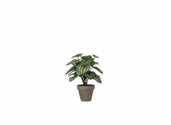 Kunstplant Peperomia + pot Stan H24cm