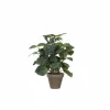 Kunstplant Pilea + pot Stan H35cm