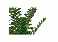 Kunstplant Zamio H90cm