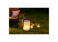 LED Speaker Firefly H25,5cm