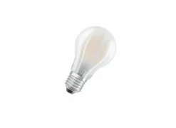 LED-lamp Retrofit  10W E27 mat
