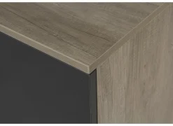 Gorbe Opbergkast 93x42,5x77,6cm - melamine - zwart & nebraska