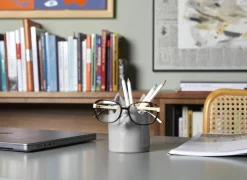 Bergers Pennen- en brilhouder kat