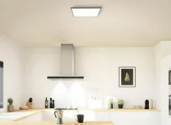 Brilliant Plafondlamp Briston 45x45x5cm - kunststof & metaal - zwart