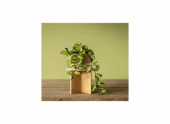 Plantenstandaard Large H19,5cm bamboe naturel