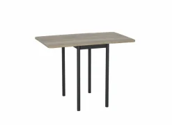 Perfecta Plooitafel 40/100x60cm