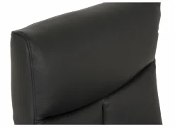 Relaxzetel 8001 elektrisch - leder - zwart