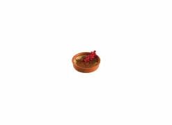 Cosy & Trendy Schaal Crème brulée Ø12cm - terracotta - terracotta set van 4