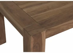 Tafel Carbone 300x110cm - sheesham massief - naturel
