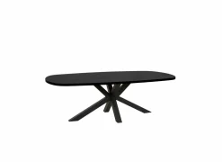Tafel Raphael 230x119cm - melamine - NOX