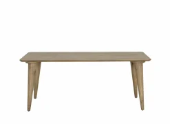 Tafel Tiresias 190x100cm - mango massief - naturel