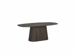 Tafel Woodwork 200x100cm - mango massief - naturel