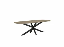 Tafel 240x100cm - HPL - naturel