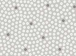 Tafelkleed Captain Cook Ø160cm - vinyl - grijs