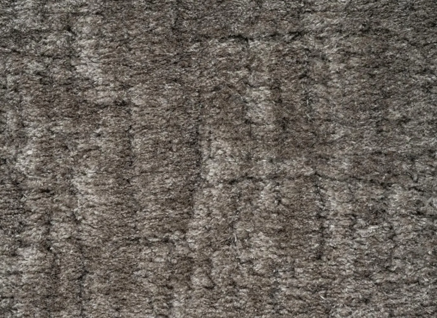 Ragolle Tapijt Madagaskar 160x230cm - polyestervezel - bruin