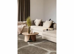 Ragolle Tapijt Madagaskar 200x290cm - polyestervezel - bruin