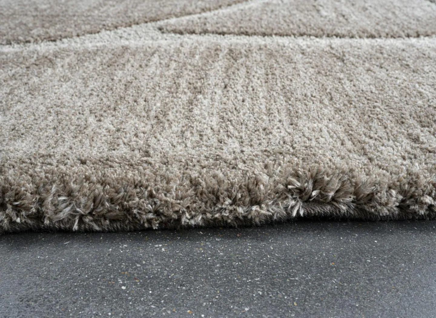 Ragolle Tapijt Madagaskar 160x230cm - polyestervezel - bruin