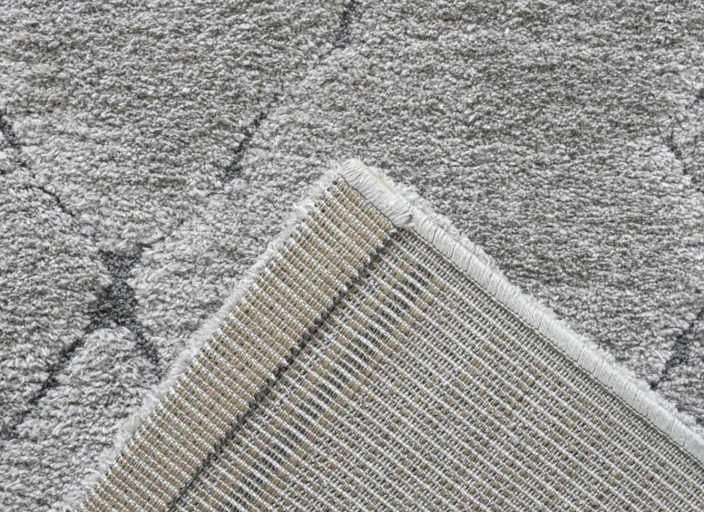Ragolle Tapijt Madagaskar 160x230cm - polyestervezel - lichtgrijs