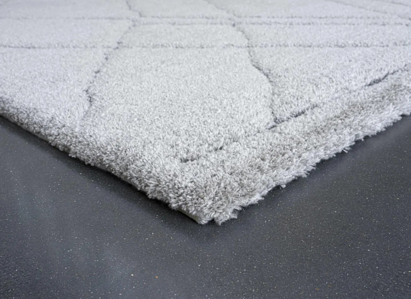 Ragolle Tapijt Madagaskar 160x230cm - polyestervezel - lichtgrijs