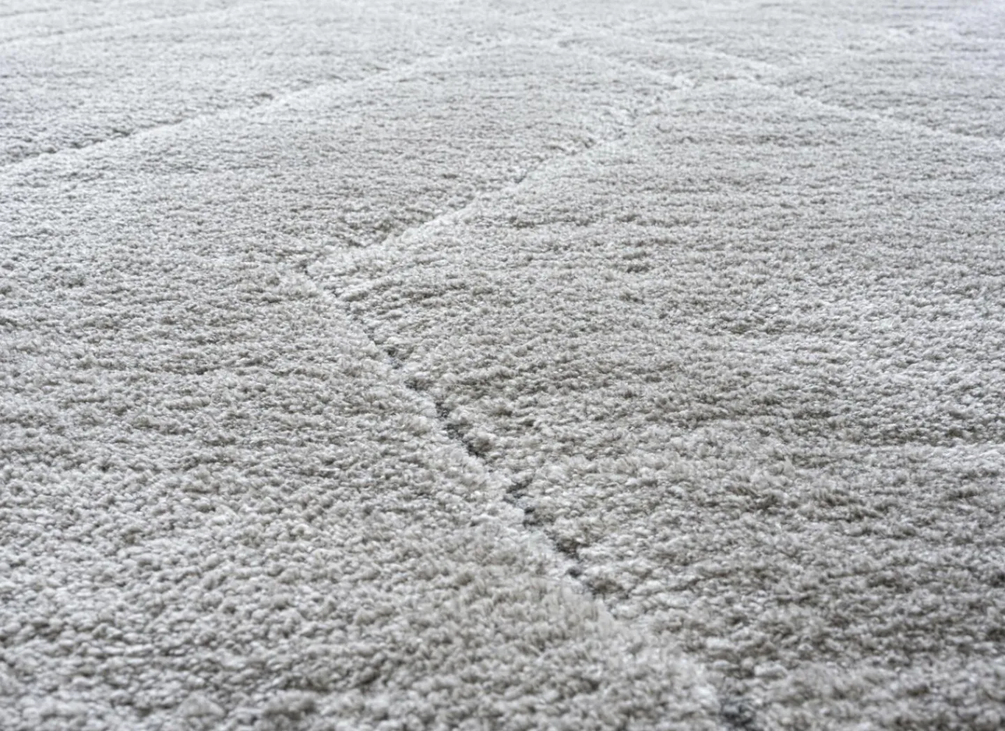 Ragolle Tapijt Madagaskar 160x230cm - polyestervezel - lichtgrijs