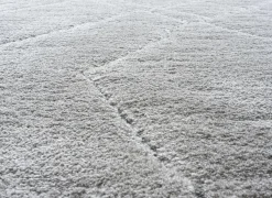 Ragolle Tapijt Madagaskar 240x340cm - polyestervezel - lichtgrijs