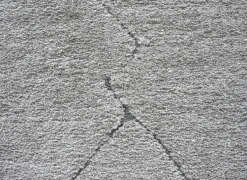 Ragolle Tapijt Madagaskar 240x340cm - polyestervezel - lichtgrijs