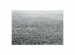 Ragolle Tapijt Medusa 240x340cm - polyestervezel - grijs