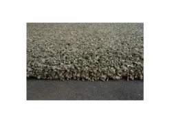 Ragolle Tapijt Twister 120x170cm - polypropyleen - groen