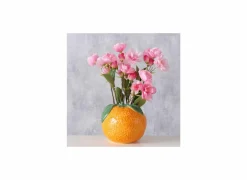 Vaas Appelsien H12,8cm - keramiek - oranje
